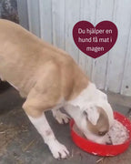 💛 Ohana 20-klubben