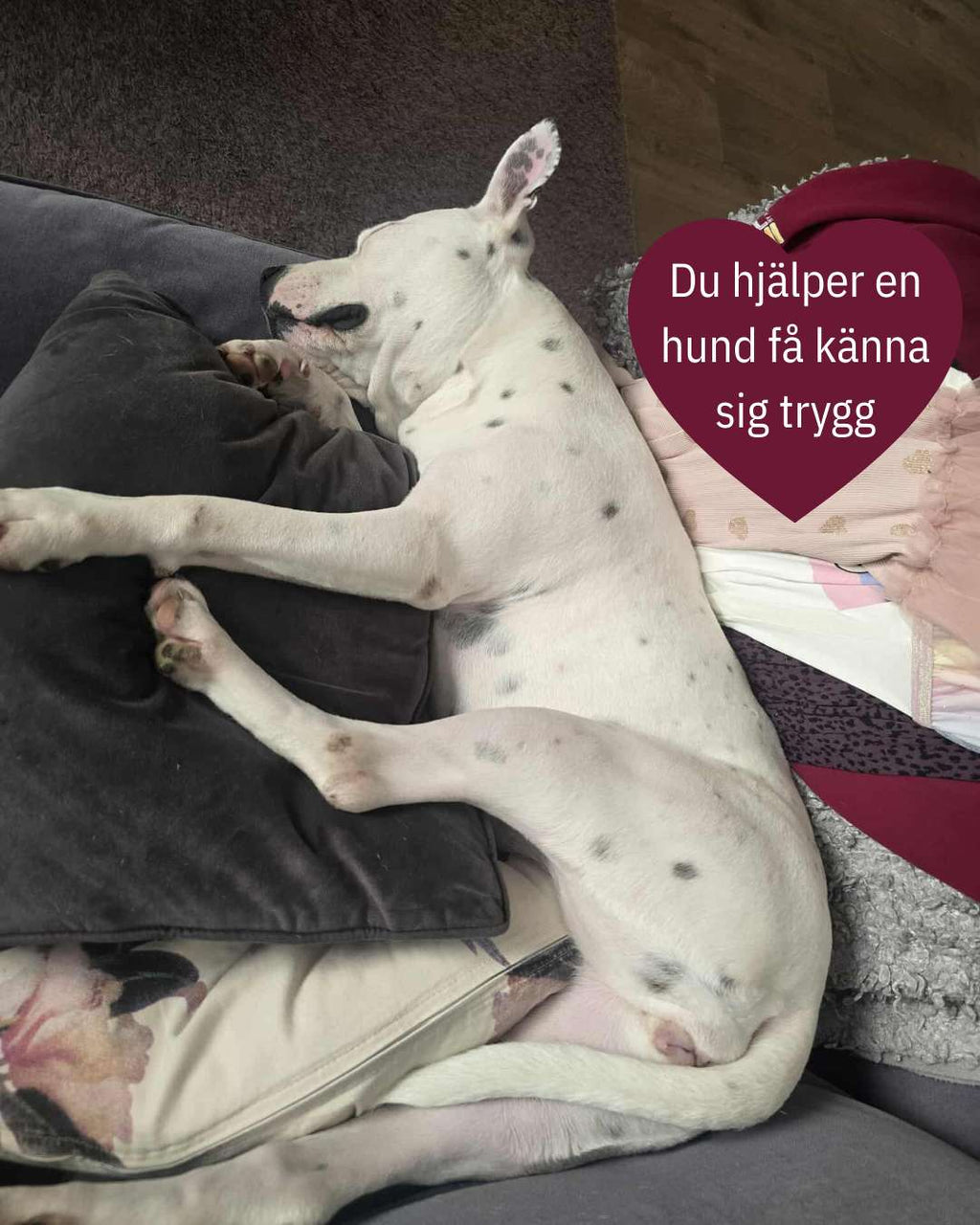 💛 Ohana 20-klubben