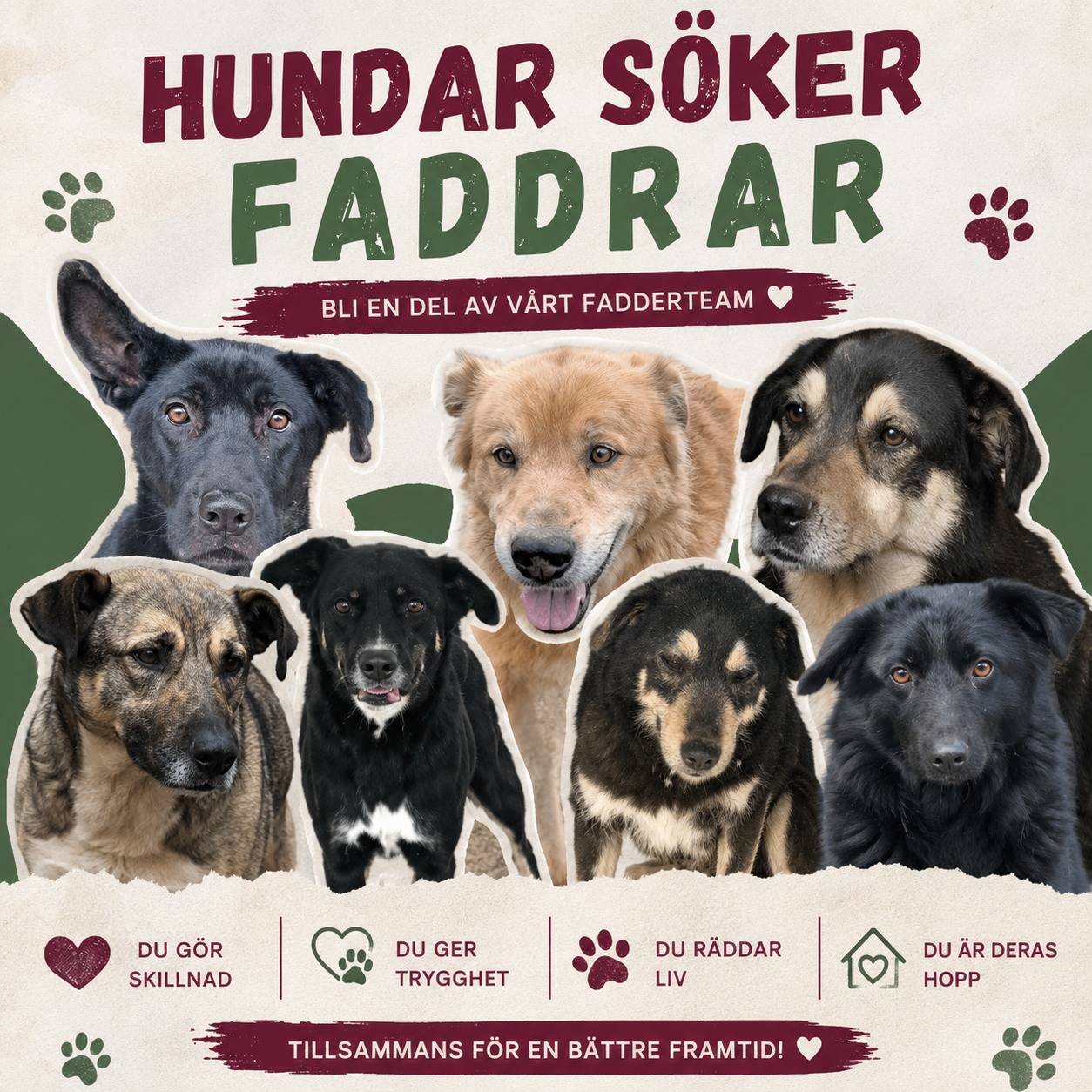Fadder till rescuehund