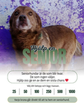 Hjälp en senior hem