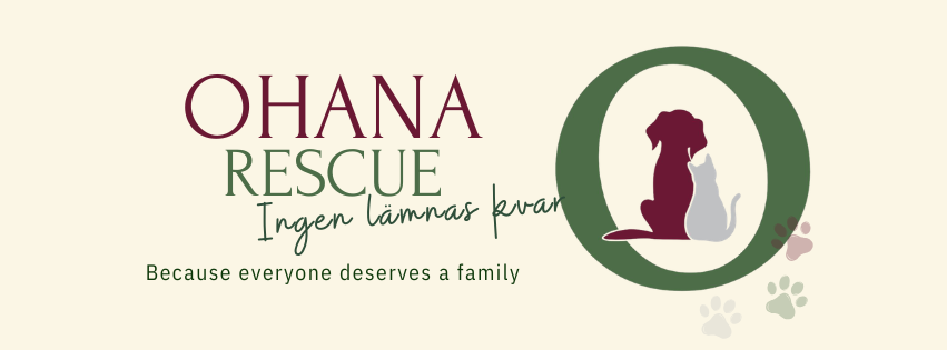Ohana Rescue