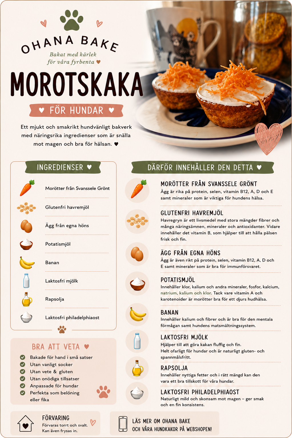 Morotskaka för hundar | Mjukt hundfika med morot