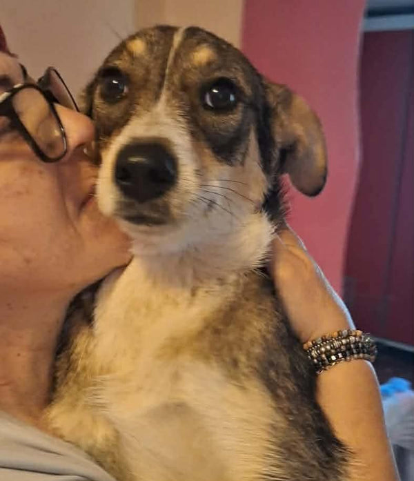Maya