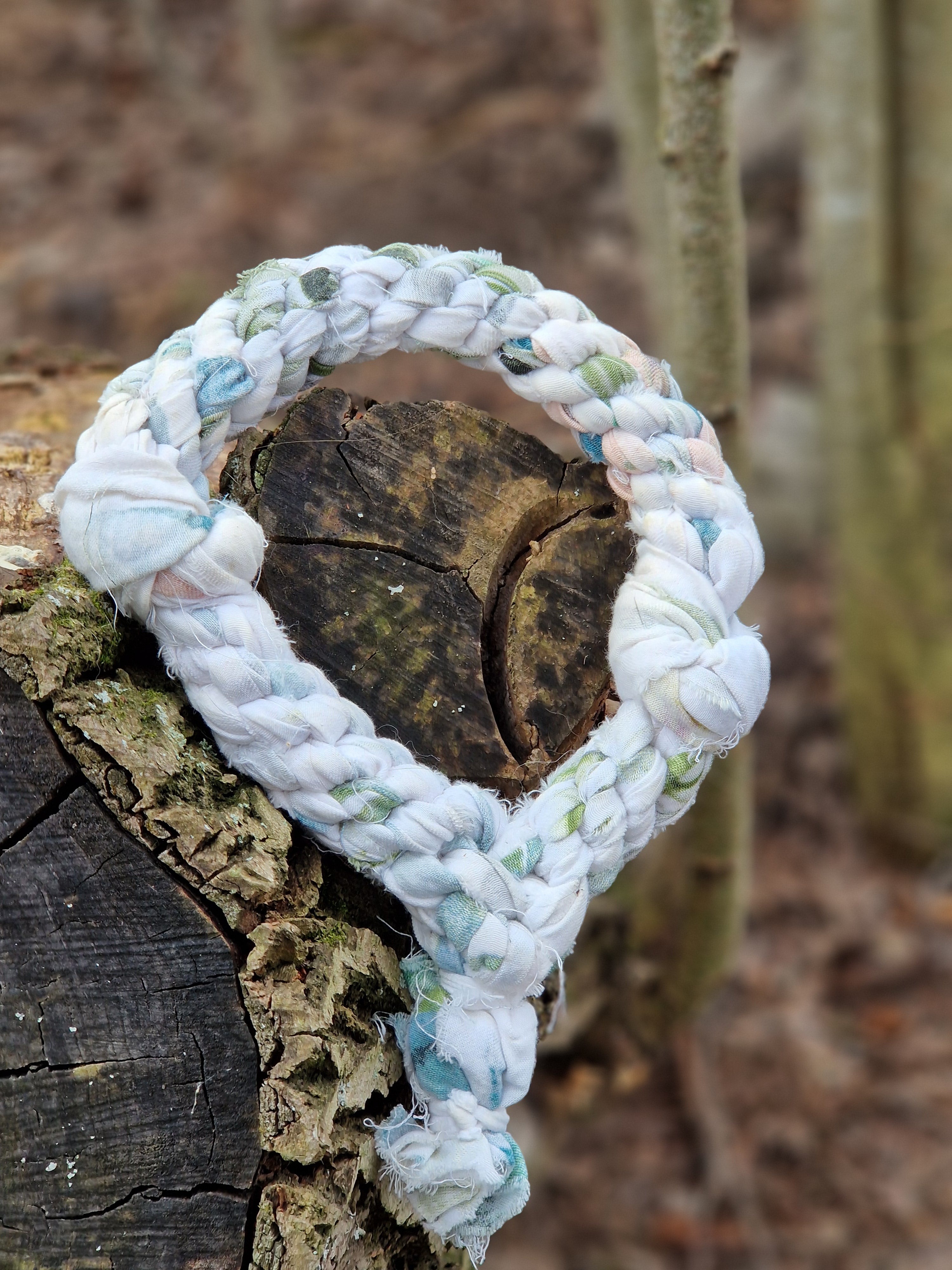 Repleksak till hund i ring - kamp tålig och säker Skellefteå adoptera hund