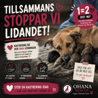 Hundmamma med valpar – exempel på varför kastrering behövs