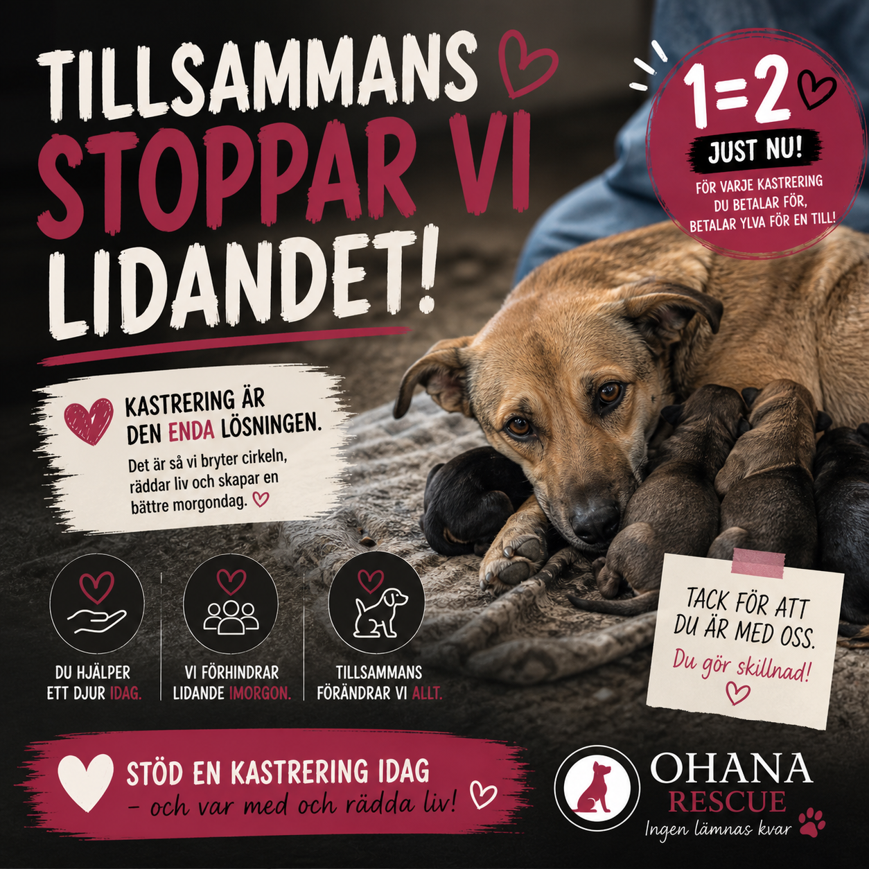 Hundmamma med valpar – exempel på varför kastrering behövs