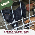 Fadder till rescuehund